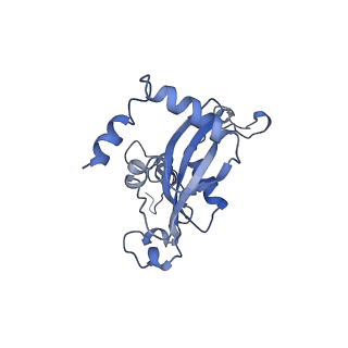 8362_5t62_a_v1-9
Nmd3 is a structural mimic of eIF5A, and activates the cpGTPase Lsg1 during 60S ribosome biogenesis: 60S-Nmd3-Tif6-Lsg1 Complex