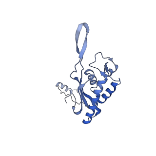8362_5t62_c_v1-9
Nmd3 is a structural mimic of eIF5A, and activates the cpGTPase Lsg1 during 60S ribosome biogenesis: 60S-Nmd3-Tif6-Lsg1 Complex