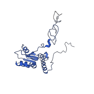 8362_5t62_d_v1-9
Nmd3 is a structural mimic of eIF5A, and activates the cpGTPase Lsg1 during 60S ribosome biogenesis: 60S-Nmd3-Tif6-Lsg1 Complex