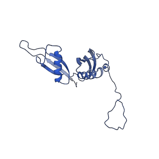 8362_5t62_f_v1-9
Nmd3 is a structural mimic of eIF5A, and activates the cpGTPase Lsg1 during 60S ribosome biogenesis: 60S-Nmd3-Tif6-Lsg1 Complex