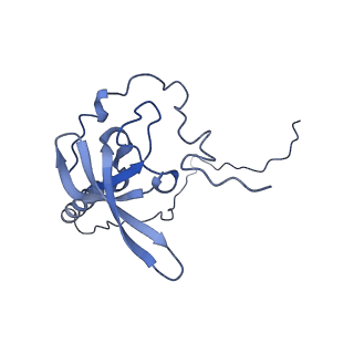 8362_5t62_g_v1-9
Nmd3 is a structural mimic of eIF5A, and activates the cpGTPase Lsg1 during 60S ribosome biogenesis: 60S-Nmd3-Tif6-Lsg1 Complex