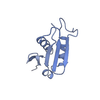 8362_5t62_h_v1-9
Nmd3 is a structural mimic of eIF5A, and activates the cpGTPase Lsg1 during 60S ribosome biogenesis: 60S-Nmd3-Tif6-Lsg1 Complex