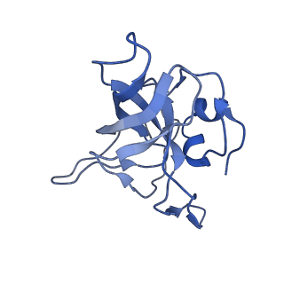 8362_5t62_i_v1-9
Nmd3 is a structural mimic of eIF5A, and activates the cpGTPase Lsg1 during 60S ribosome biogenesis: 60S-Nmd3-Tif6-Lsg1 Complex