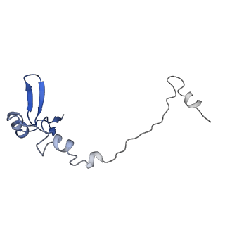 8362_5t62_j_v1-9
Nmd3 is a structural mimic of eIF5A, and activates the cpGTPase Lsg1 during 60S ribosome biogenesis: 60S-Nmd3-Tif6-Lsg1 Complex