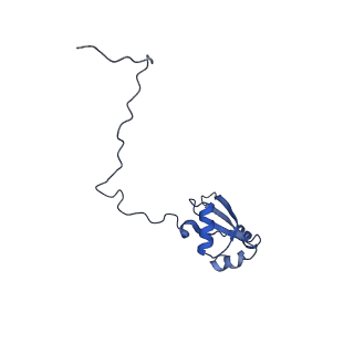 8362_5t62_k_v1-9
Nmd3 is a structural mimic of eIF5A, and activates the cpGTPase Lsg1 during 60S ribosome biogenesis: 60S-Nmd3-Tif6-Lsg1 Complex