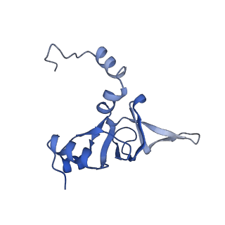 8362_5t62_l_v1-9
Nmd3 is a structural mimic of eIF5A, and activates the cpGTPase Lsg1 during 60S ribosome biogenesis: 60S-Nmd3-Tif6-Lsg1 Complex