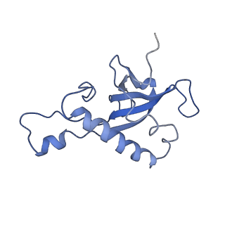 8362_5t62_m_v1-9
Nmd3 is a structural mimic of eIF5A, and activates the cpGTPase Lsg1 during 60S ribosome biogenesis: 60S-Nmd3-Tif6-Lsg1 Complex