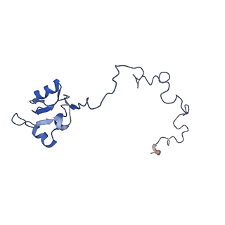 8362_5t62_n_v1-9
Nmd3 is a structural mimic of eIF5A, and activates the cpGTPase Lsg1 during 60S ribosome biogenesis: 60S-Nmd3-Tif6-Lsg1 Complex