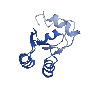 8362_5t62_p_v1-9
Nmd3 is a structural mimic of eIF5A, and activates the cpGTPase Lsg1 during 60S ribosome biogenesis: 60S-Nmd3-Tif6-Lsg1 Complex