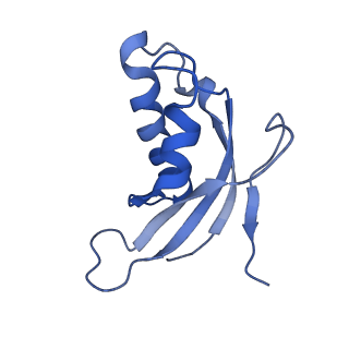 8362_5t62_q_v1-9
Nmd3 is a structural mimic of eIF5A, and activates the cpGTPase Lsg1 during 60S ribosome biogenesis: 60S-Nmd3-Tif6-Lsg1 Complex