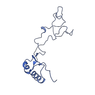 8362_5t62_r_v1-9
Nmd3 is a structural mimic of eIF5A, and activates the cpGTPase Lsg1 during 60S ribosome biogenesis: 60S-Nmd3-Tif6-Lsg1 Complex