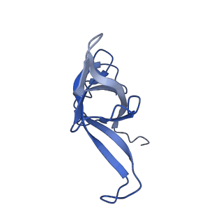 8362_5t62_s_v1-9
Nmd3 is a structural mimic of eIF5A, and activates the cpGTPase Lsg1 during 60S ribosome biogenesis: 60S-Nmd3-Tif6-Lsg1 Complex