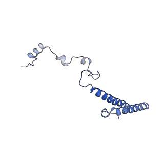 8362_5t62_u_v1-9
Nmd3 is a structural mimic of eIF5A, and activates the cpGTPase Lsg1 during 60S ribosome biogenesis: 60S-Nmd3-Tif6-Lsg1 Complex