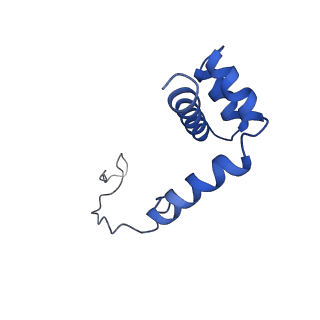 8362_5t62_v_v1-9
Nmd3 is a structural mimic of eIF5A, and activates the cpGTPase Lsg1 during 60S ribosome biogenesis: 60S-Nmd3-Tif6-Lsg1 Complex