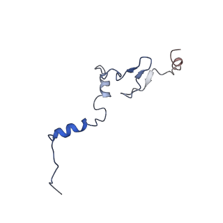 8362_5t62_w_v1-9
Nmd3 is a structural mimic of eIF5A, and activates the cpGTPase Lsg1 during 60S ribosome biogenesis: 60S-Nmd3-Tif6-Lsg1 Complex
