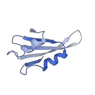 8362_5t62_x_v1-9
Nmd3 is a structural mimic of eIF5A, and activates the cpGTPase Lsg1 during 60S ribosome biogenesis: 60S-Nmd3-Tif6-Lsg1 Complex