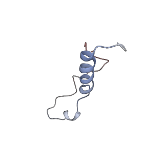 8362_5t62_y_v1-9
Nmd3 is a structural mimic of eIF5A, and activates the cpGTPase Lsg1 during 60S ribosome biogenesis: 60S-Nmd3-Tif6-Lsg1 Complex