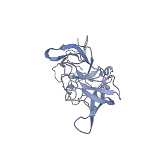 8368_5t6r_D_v1-10
Nmd3 is a structural mimic of eIF5A, and activates the cpGTPase Lsg1 during 60S ribosome biogenesis: 60S-Nmd3 Complex