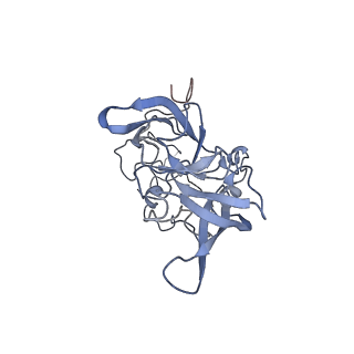 8368_5t6r_D_v1-9
Nmd3 is a structural mimic of eIF5A, and activates the cpGTPase Lsg1 during 60S ribosome biogenesis: 60S-Nmd3 Complex