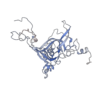 8368_5t6r_E_v1-10
Nmd3 is a structural mimic of eIF5A, and activates the cpGTPase Lsg1 during 60S ribosome biogenesis: 60S-Nmd3 Complex