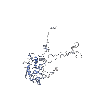 8368_5t6r_F_v1-10
Nmd3 is a structural mimic of eIF5A, and activates the cpGTPase Lsg1 during 60S ribosome biogenesis: 60S-Nmd3 Complex