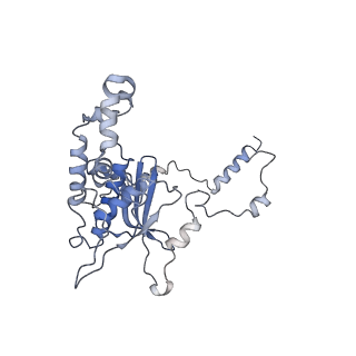 8368_5t6r_G_v1-10
Nmd3 is a structural mimic of eIF5A, and activates the cpGTPase Lsg1 during 60S ribosome biogenesis: 60S-Nmd3 Complex