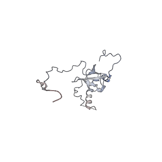 8368_5t6r_H_v1-10
Nmd3 is a structural mimic of eIF5A, and activates the cpGTPase Lsg1 during 60S ribosome biogenesis: 60S-Nmd3 Complex