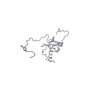 8368_5t6r_H_v1-9
Nmd3 is a structural mimic of eIF5A, and activates the cpGTPase Lsg1 during 60S ribosome biogenesis: 60S-Nmd3 Complex