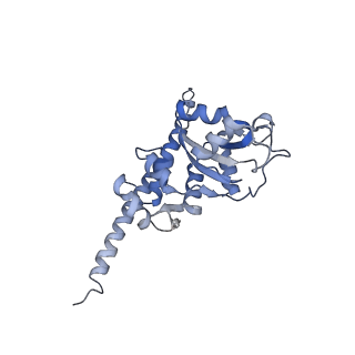 8368_5t6r_I_v1-10
Nmd3 is a structural mimic of eIF5A, and activates the cpGTPase Lsg1 during 60S ribosome biogenesis: 60S-Nmd3 Complex