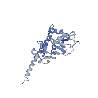 8368_5t6r_I_v1-9
Nmd3 is a structural mimic of eIF5A, and activates the cpGTPase Lsg1 during 60S ribosome biogenesis: 60S-Nmd3 Complex