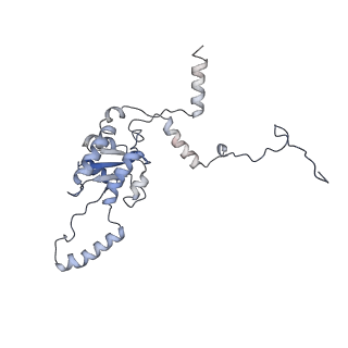 8368_5t6r_J_v1-10
Nmd3 is a structural mimic of eIF5A, and activates the cpGTPase Lsg1 during 60S ribosome biogenesis: 60S-Nmd3 Complex