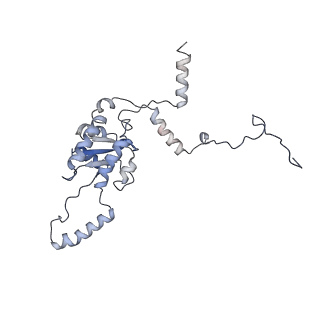 8368_5t6r_J_v1-9
Nmd3 is a structural mimic of eIF5A, and activates the cpGTPase Lsg1 during 60S ribosome biogenesis: 60S-Nmd3 Complex