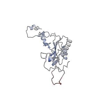 8368_5t6r_L_v1-10
Nmd3 is a structural mimic of eIF5A, and activates the cpGTPase Lsg1 during 60S ribosome biogenesis: 60S-Nmd3 Complex