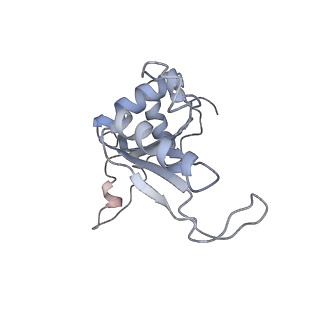 8368_5t6r_M_v1-10
Nmd3 is a structural mimic of eIF5A, and activates the cpGTPase Lsg1 during 60S ribosome biogenesis: 60S-Nmd3 Complex