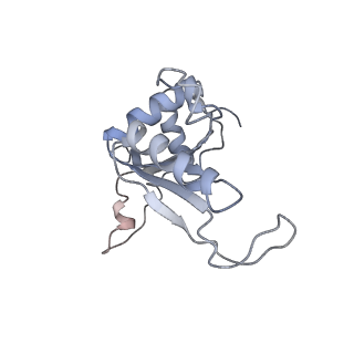 8368_5t6r_M_v1-9
Nmd3 is a structural mimic of eIF5A, and activates the cpGTPase Lsg1 during 60S ribosome biogenesis: 60S-Nmd3 Complex