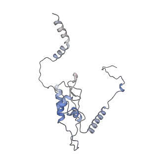 8368_5t6r_N_v1-10
Nmd3 is a structural mimic of eIF5A, and activates the cpGTPase Lsg1 during 60S ribosome biogenesis: 60S-Nmd3 Complex