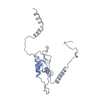 8368_5t6r_N_v1-9
Nmd3 is a structural mimic of eIF5A, and activates the cpGTPase Lsg1 during 60S ribosome biogenesis: 60S-Nmd3 Complex