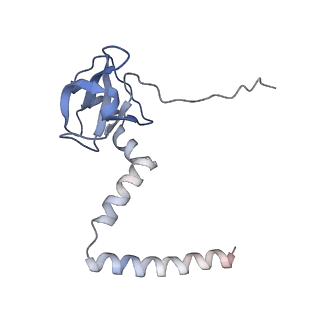 8368_5t6r_O_v1-10
Nmd3 is a structural mimic of eIF5A, and activates the cpGTPase Lsg1 during 60S ribosome biogenesis: 60S-Nmd3 Complex