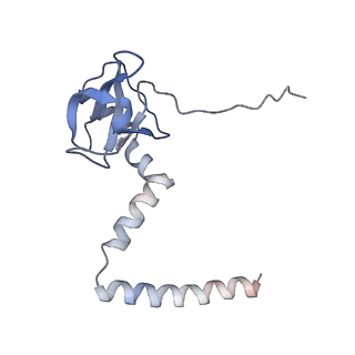 8368_5t6r_O_v1-9
Nmd3 is a structural mimic of eIF5A, and activates the cpGTPase Lsg1 during 60S ribosome biogenesis: 60S-Nmd3 Complex