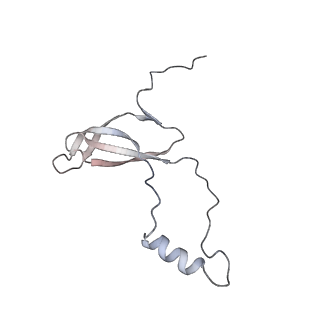 8368_5t6r_Q_v1-10
Nmd3 is a structural mimic of eIF5A, and activates the cpGTPase Lsg1 during 60S ribosome biogenesis: 60S-Nmd3 Complex