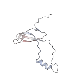 8368_5t6r_Q_v1-9
Nmd3 is a structural mimic of eIF5A, and activates the cpGTPase Lsg1 during 60S ribosome biogenesis: 60S-Nmd3 Complex