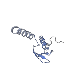 8368_5t6r_R_v1-10
Nmd3 is a structural mimic of eIF5A, and activates the cpGTPase Lsg1 during 60S ribosome biogenesis: 60S-Nmd3 Complex