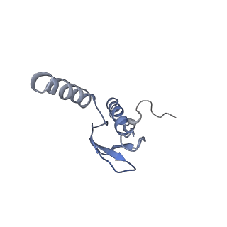 8368_5t6r_R_v1-9
Nmd3 is a structural mimic of eIF5A, and activates the cpGTPase Lsg1 during 60S ribosome biogenesis: 60S-Nmd3 Complex