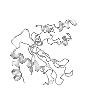 8368_5t6r_S_v1-10
Nmd3 is a structural mimic of eIF5A, and activates the cpGTPase Lsg1 during 60S ribosome biogenesis: 60S-Nmd3 Complex