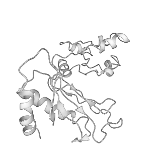 8368_5t6r_S_v1-9
Nmd3 is a structural mimic of eIF5A, and activates the cpGTPase Lsg1 during 60S ribosome biogenesis: 60S-Nmd3 Complex