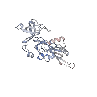 8368_5t6r_V_v1-10
Nmd3 is a structural mimic of eIF5A, and activates the cpGTPase Lsg1 during 60S ribosome biogenesis: 60S-Nmd3 Complex