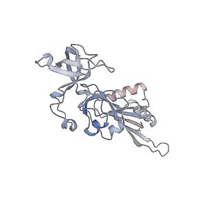 8368_5t6r_V_v1-9
Nmd3 is a structural mimic of eIF5A, and activates the cpGTPase Lsg1 during 60S ribosome biogenesis: 60S-Nmd3 Complex