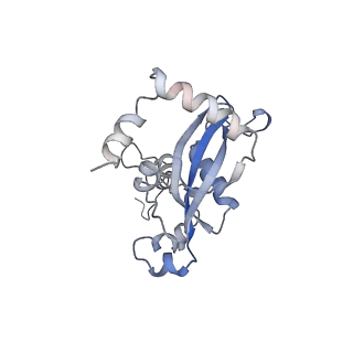 8368_5t6r_a_v1-10
Nmd3 is a structural mimic of eIF5A, and activates the cpGTPase Lsg1 during 60S ribosome biogenesis: 60S-Nmd3 Complex