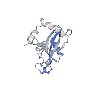 8368_5t6r_a_v1-9
Nmd3 is a structural mimic of eIF5A, and activates the cpGTPase Lsg1 during 60S ribosome biogenesis: 60S-Nmd3 Complex