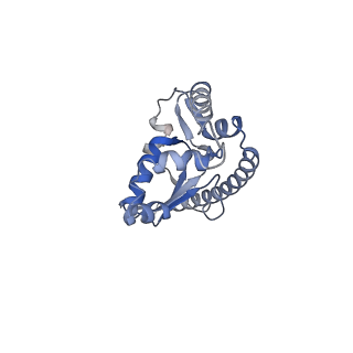 8368_5t6r_b_v1-10
Nmd3 is a structural mimic of eIF5A, and activates the cpGTPase Lsg1 during 60S ribosome biogenesis: 60S-Nmd3 Complex